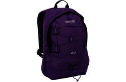 Regatta Survivor II 20L Backpack - Alpine Purple